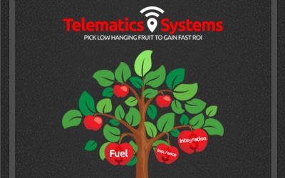 Telematics Systems: Pick Low Hanging Fruit to Gain Fast ROI