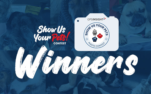 Announcing the Show Us Your Pets contest winners!