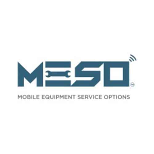 MESO Logo 2